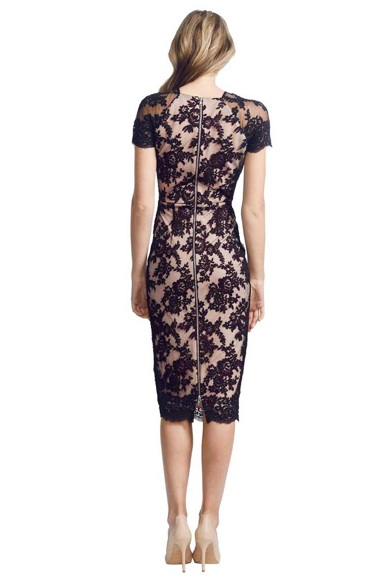 Francoise Dress by Alex Perry for Rent | GlamCorner