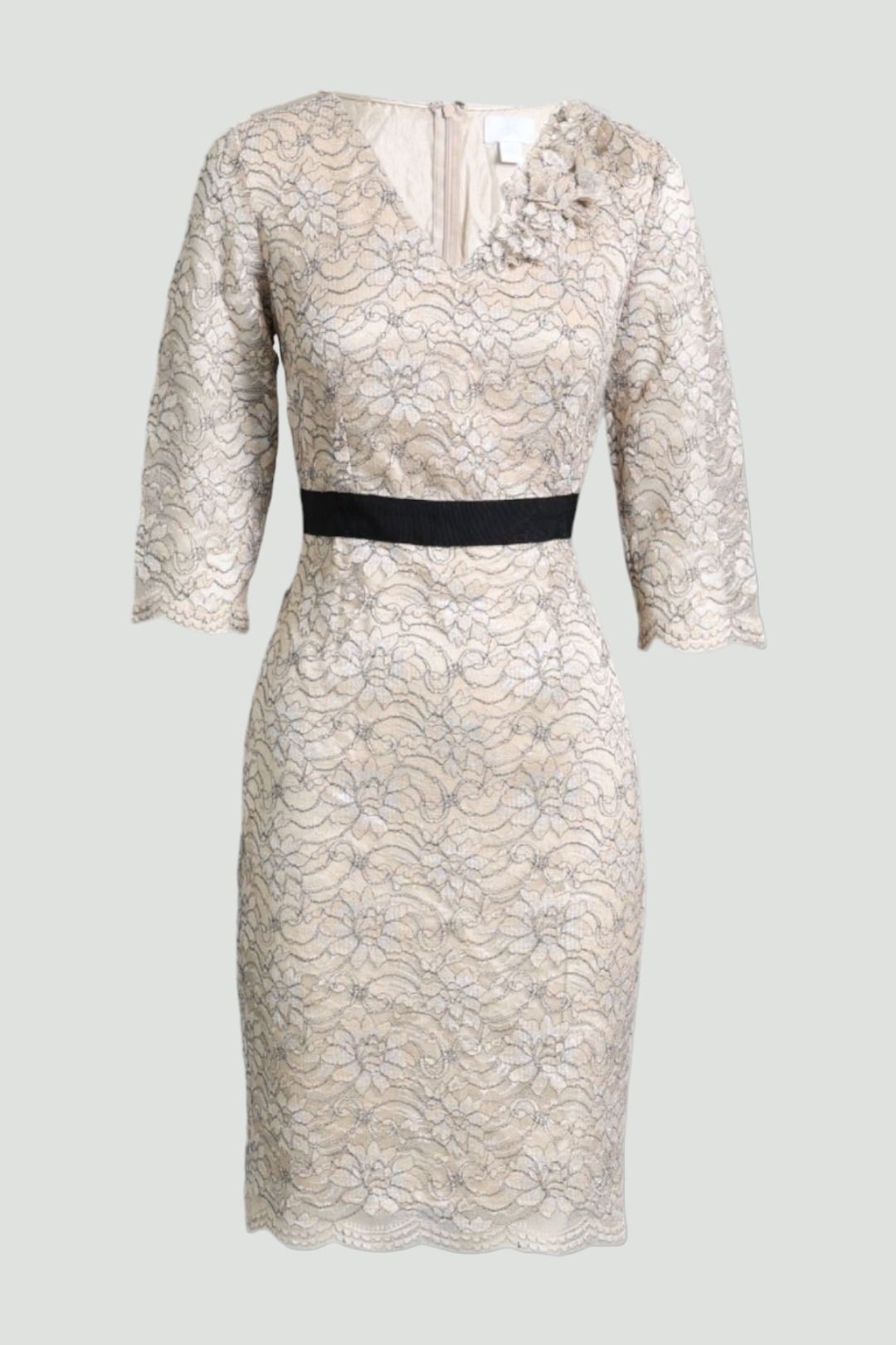 Buy Champagne Lace Style Dress Banana Republic GlamCorner