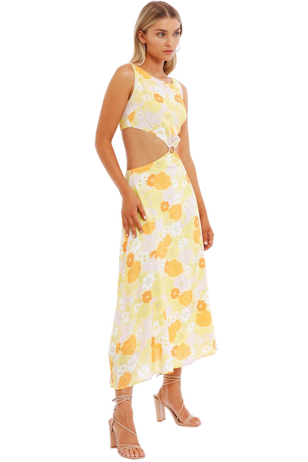 Coast clemence dress 2025