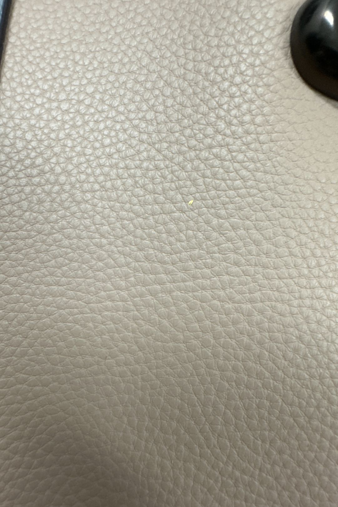 Coach Leather Willow Tote in Brown