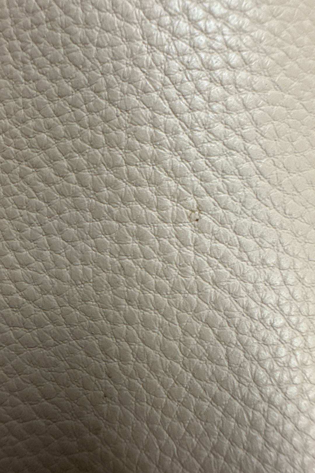 Coach Leather Willow Tote in Brown