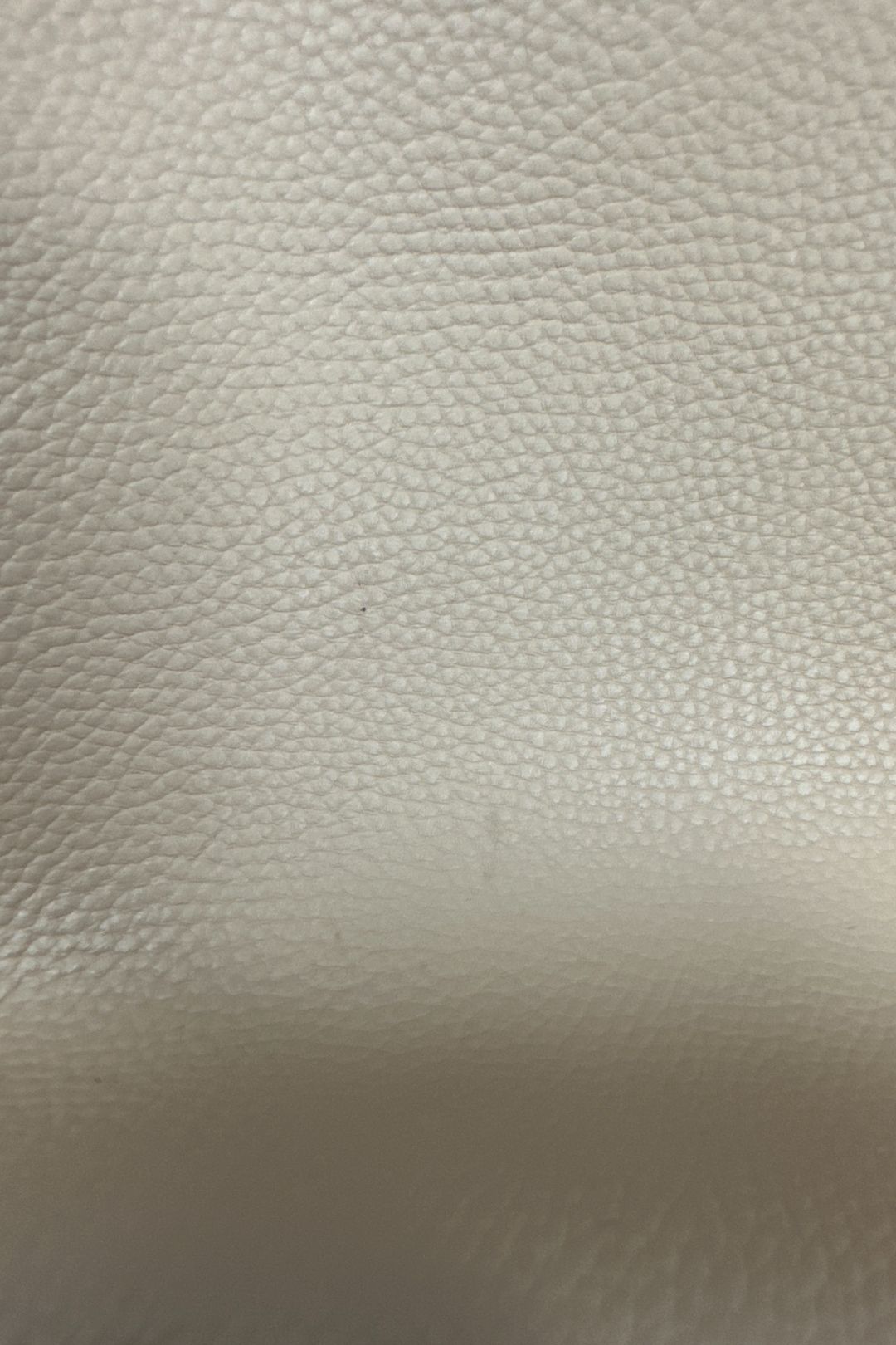 Coach Leather Willow Tote in Brown