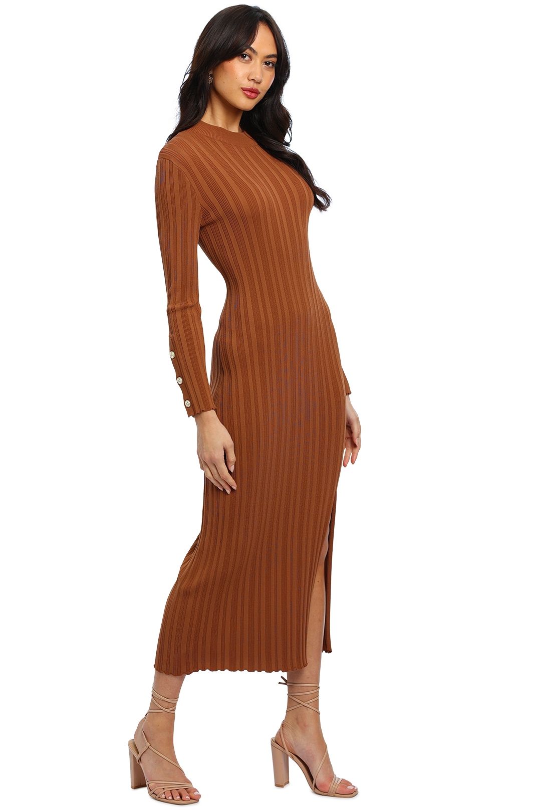 Coast hotsell ena dress