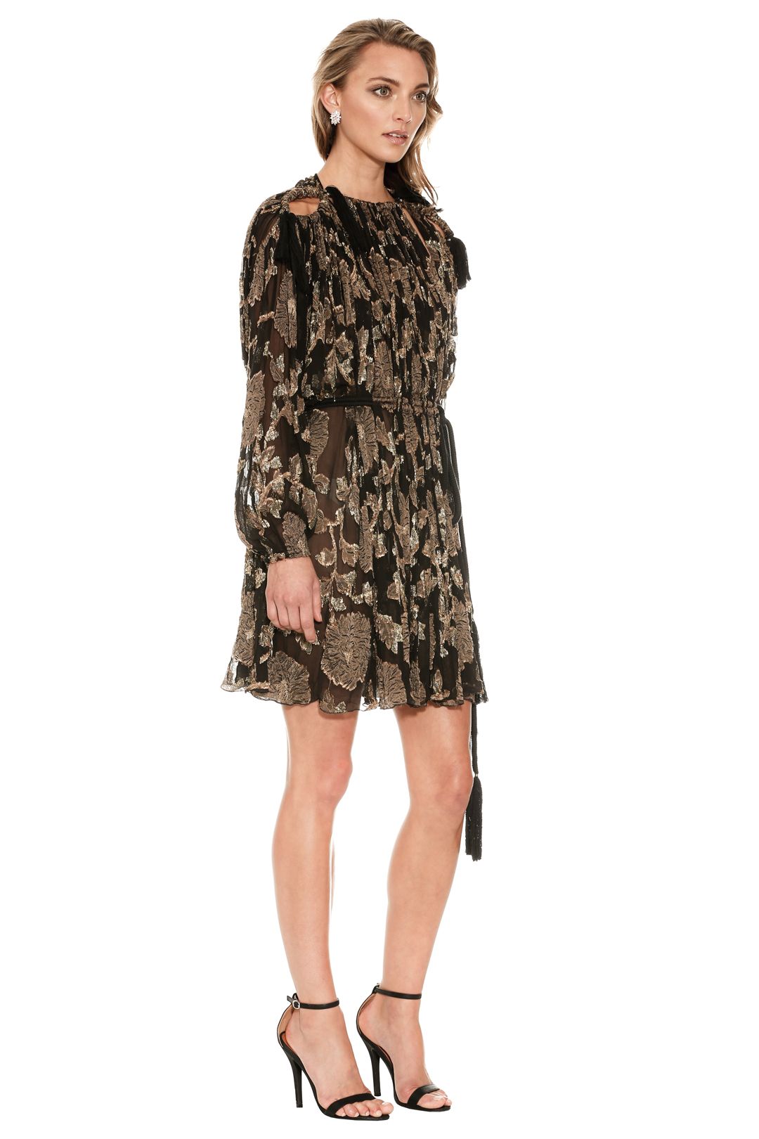 Embroidered Silk Mini Dress by Lanvin for Hire | GlamCorner