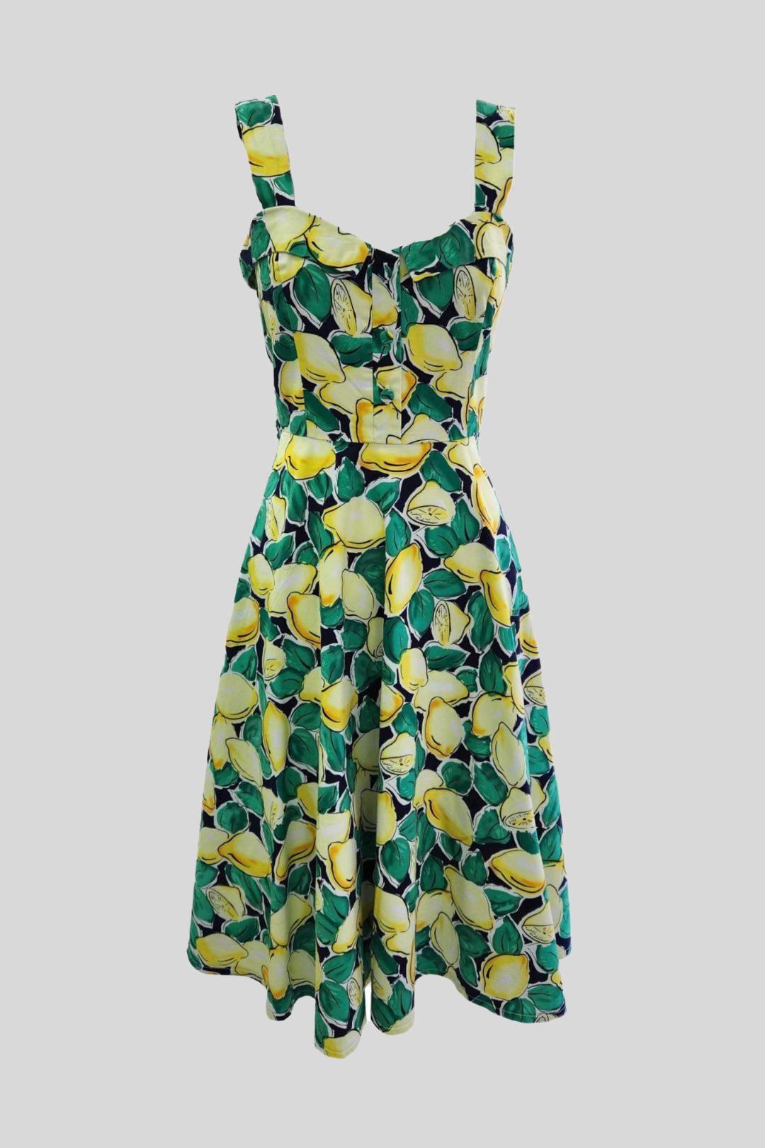 Lemon Print Fit and Flare Picnic Dress