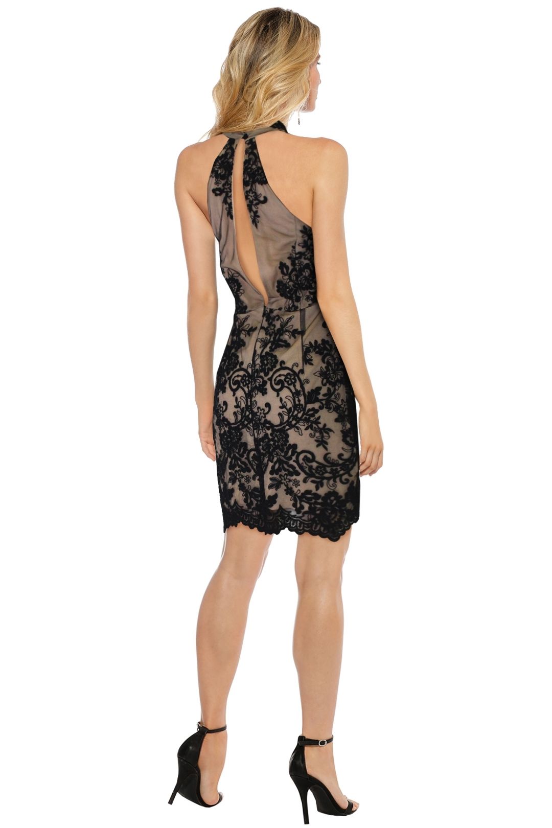 Caprice Lace Halter Dress by LUOM.O for Hire | GlamCorner
