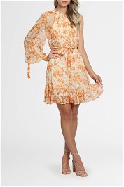 Ministry of Style Spring Meadows Mini Dress floral print