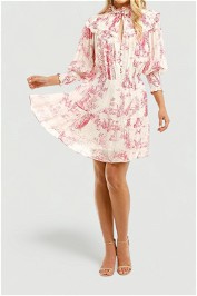 Nicholas-Abbey-Dress-Canister-Ivory-Toile-Print-Pink