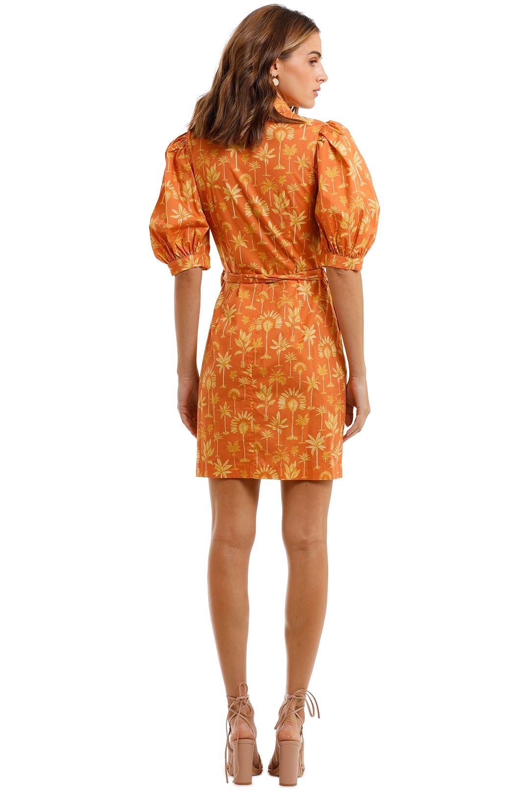 Hire Palm Sugar Dress Pasduchas GlamCorner