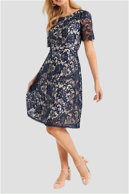 Buy Starling Lace Dress in Navy | Review