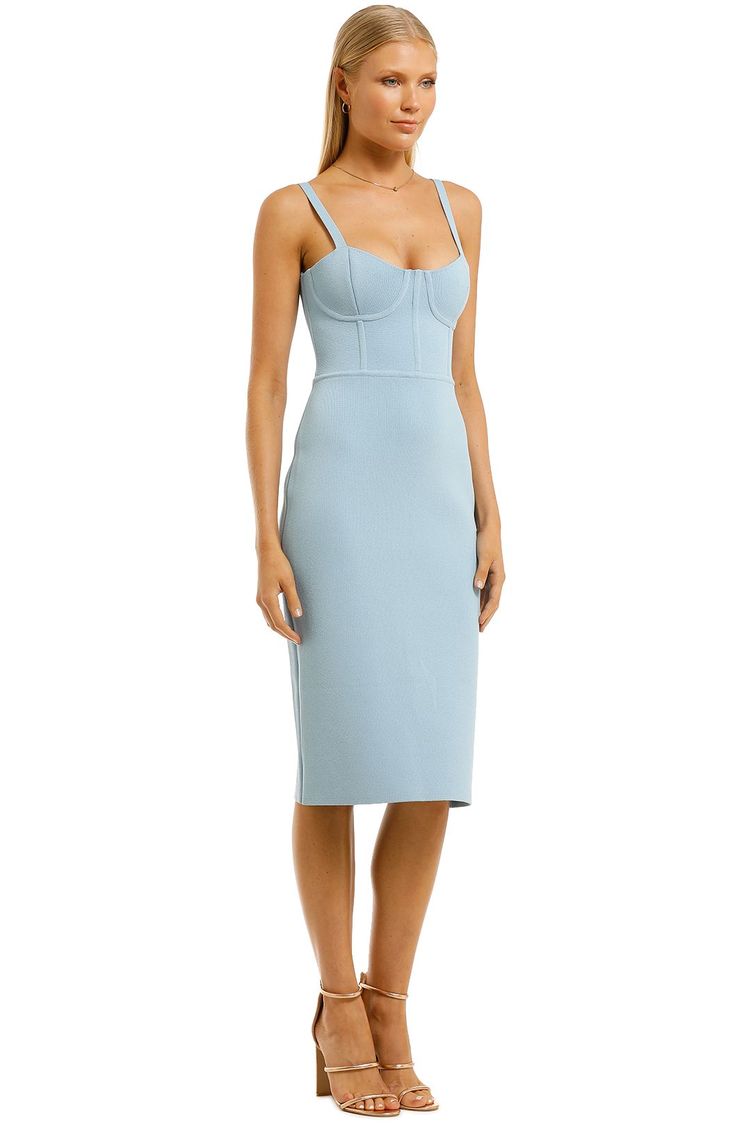 Crepe Knit Bustier Dress | Scanlan Theodore | GlamCorner