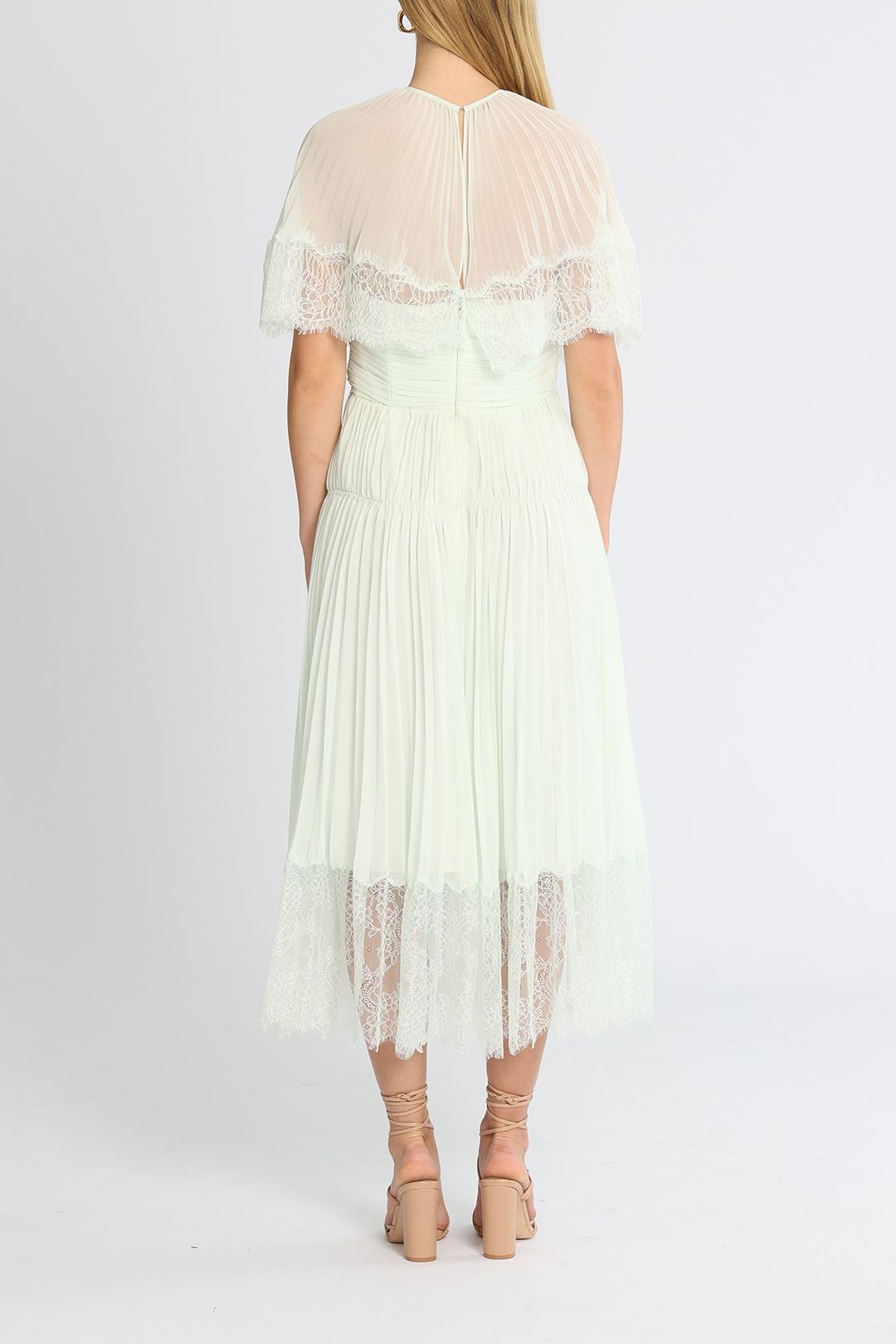 Coast jade sale lace midi dress