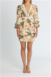 Significant Other Madrid Dress Painted Floral Print