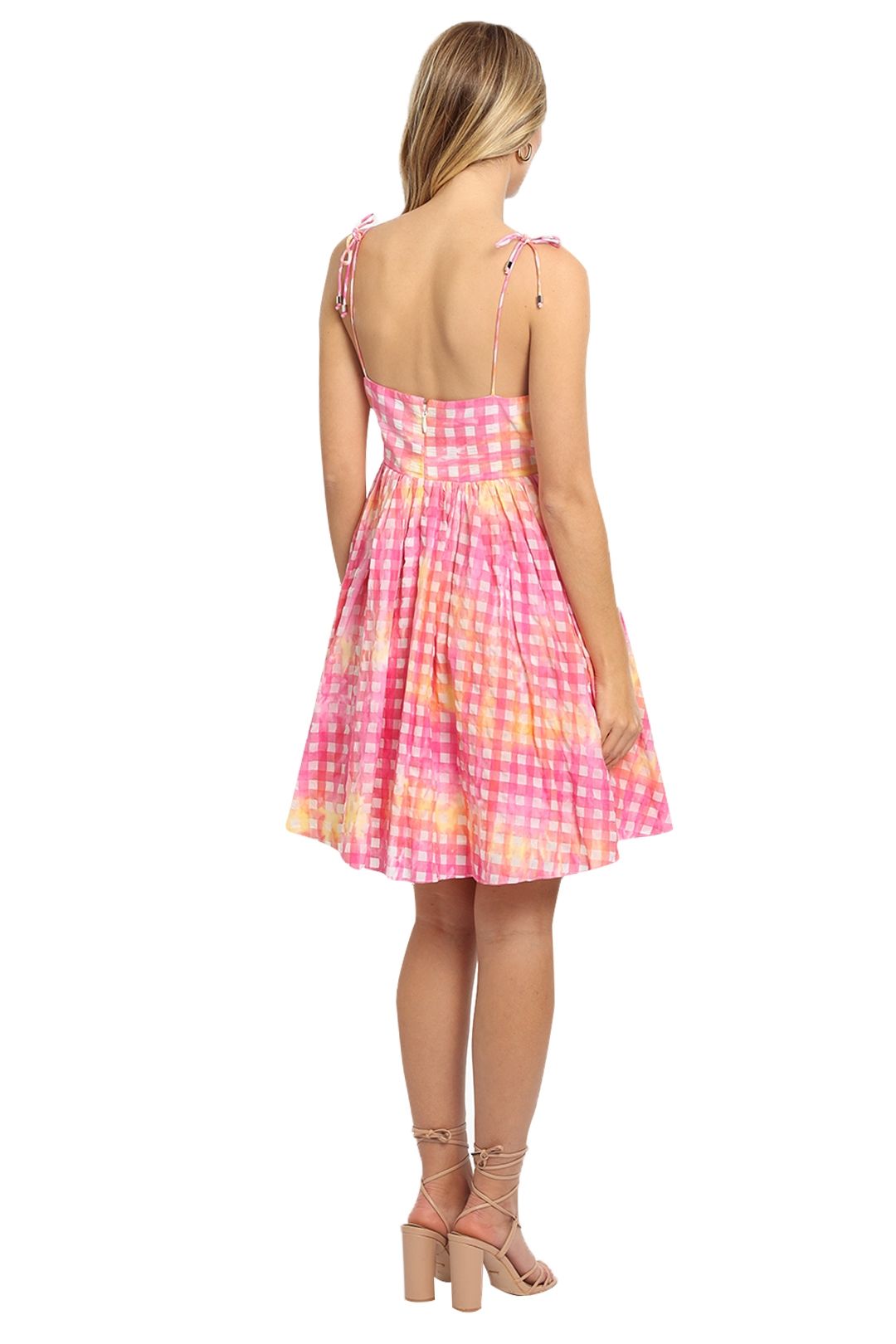steele pink gingham dress Steele Eadie Dress in Pink Check