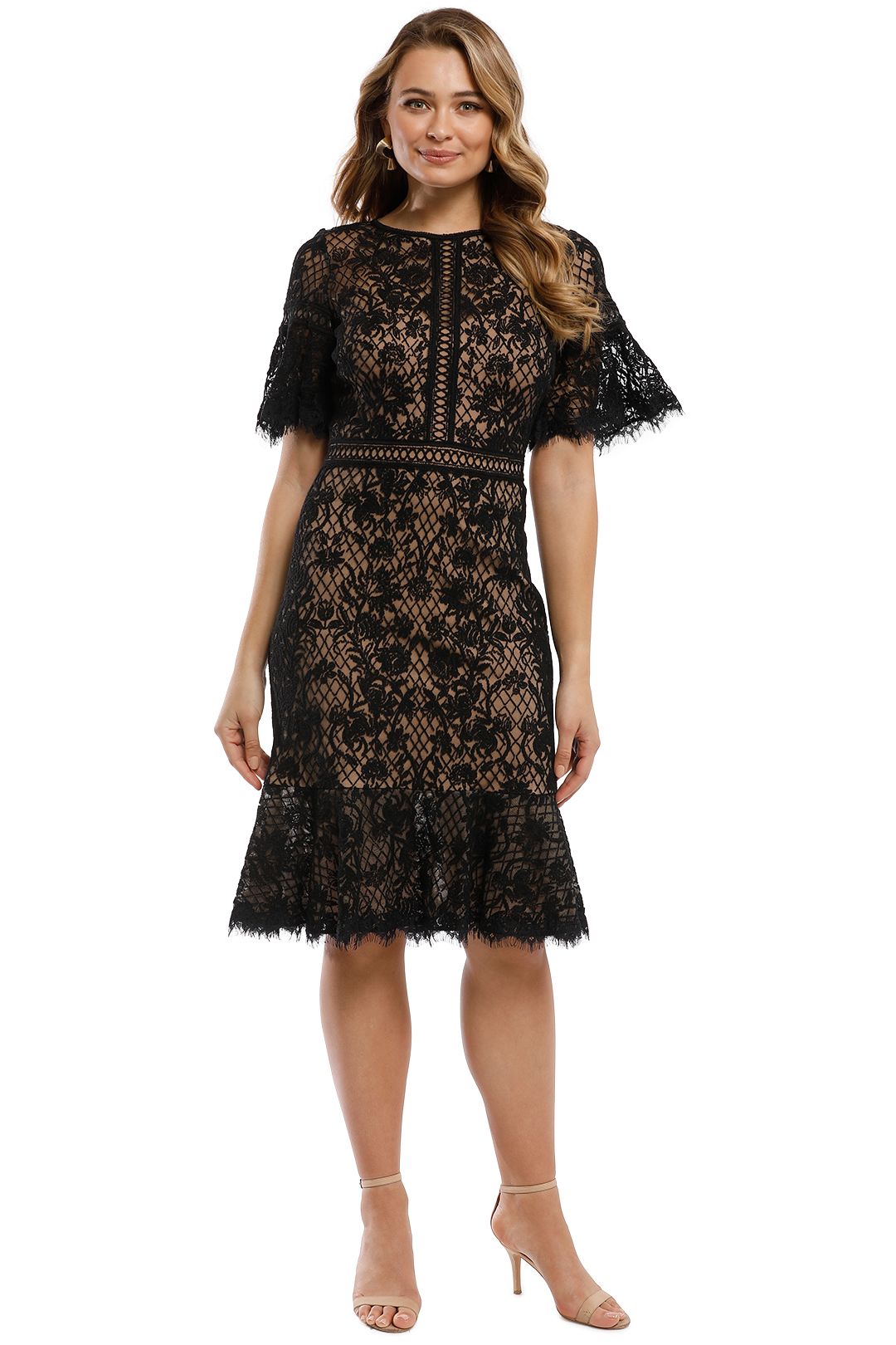 Lace midi dress tadashi shoji store