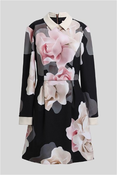 Buy Lascii Porcelain Rose Collar Dress | Ted Baker | GlamCorner