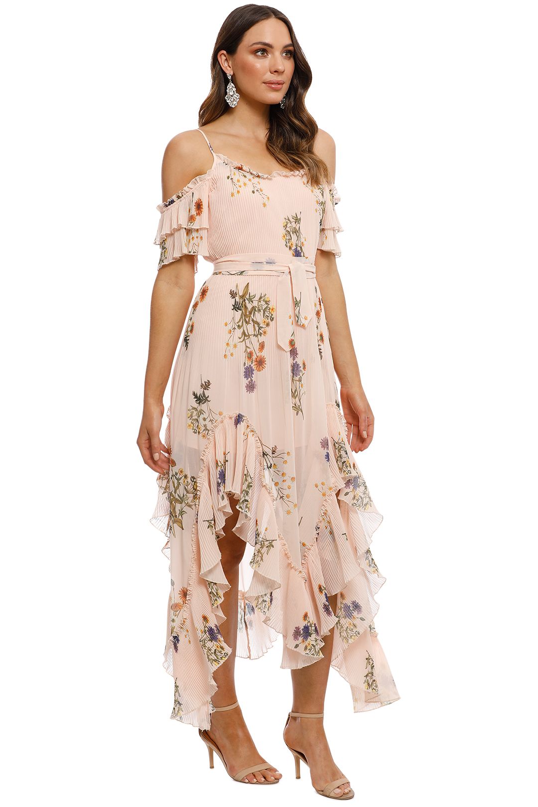 We Are Kindred - Country Field Maxi Dress - Blush - Side